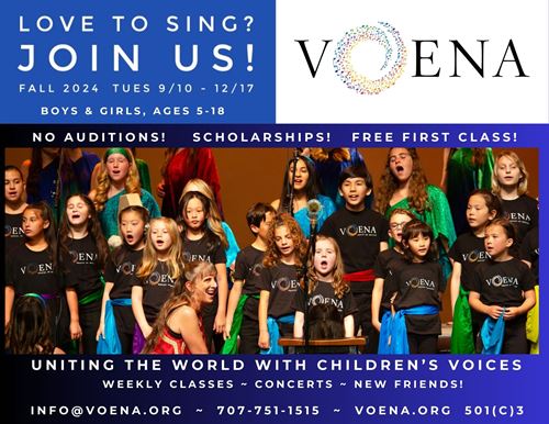 Fall VOENA Flyer 